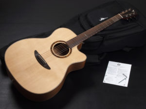 ディーシーティー ジャパン japan Cutaway カッタウェイ Takamine yamaha タカミネ ヤマハ 初心者 ビギナー 入門 女性 女子 子供 キッズ エレアコ eleaco