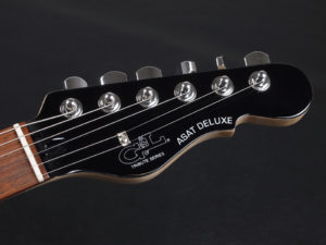 トリビュート シリーズ アサット Telecaster デラックス テレキャスター アーチトップ schecter PT HELLRAISER HYBRID japan USA outlet DLX