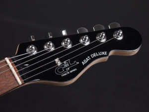 トリビュート シリーズ アサット Telecaster デラックス テレキャスター アーチトップ schecter PT HELLRAISER HYBRID japan USA outlet DLX