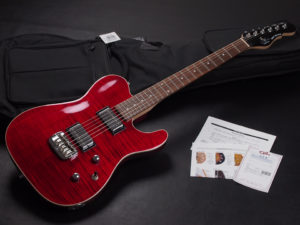 トリビュート シリーズ アサット Telecaster デラックス テレキャスター アーチトップ schecter PT HELLRAISER HYBRID japan USA outlet DLX