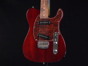 トリビュート シリーズ アサット Telecaster テレキャスター スペシャル アイリッシュ エール Classic series ブルースボーイ クラシック japan USA outlet