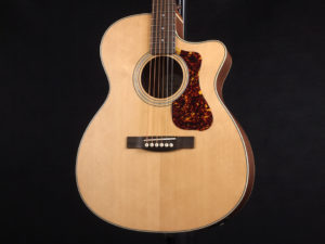 NAT 114 Academy 114ce Taylor takamine yamaha APX700II PTU121C CPX700II 600