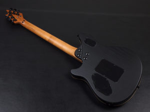 EVH　Limited Edition Wolfgang Special Sassafras Baked Maple Fingerboard Satin Black