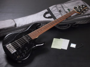 ドラゴンフライ 日本製 ハイエンド Harry's engineering ハリーズ WEED ハンドメイド sugi CJ CHB SJ 5 string 弦 アクティブ