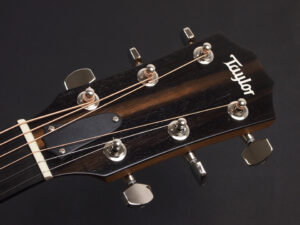 タイラー 110ce 214ce 2020 ローズウッド DLX RW deluxe エレアコ electric acoustic ES2 初心者 入門 プラス RW ローズ + koa 224 +