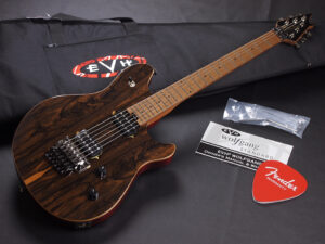 ヴァンヘイレン エディ Edward Van Halen Eddie PEAVEY Musicman Axis 5150 Friedman Brown ウルフギャング Kramer クレーマー