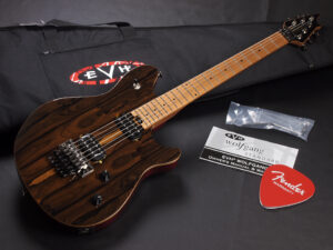 ヴァンヘイレン エディ Edward Van Halen Eddie PEAVEY Musicman Axis 5150 Friedman Brown ウルフギャング Kramer クレーマー