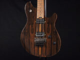 ヴァンヘイレン エディ Edward Van Halen Eddie PEAVEY Musicman Axis 5150 Friedman Brown ウルフギャング Kramer クレーマー