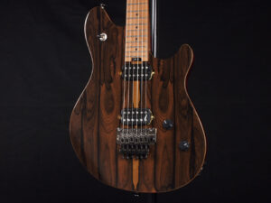 ヴァンヘイレン エディ Edward Van Halen Eddie PEAVEY Musicman Axis 5150 Friedman Brown ウルフギャング Kramer クレーマー