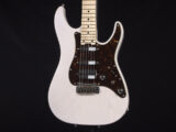 日本製 Made in japan PT EX-IV 5A B VTR EX-22 ST-CTM S SD NV ESP snapper stratocaster Standard Blonde BD