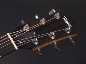 タイラー 114ce 110ce 210e 2020 ローズウッド DLX deluxe エレアコ electric acoustic ES2 初心者 入門 プラス RW ローズ + Plus DN