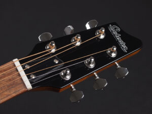 Telecaster Acoustasonic Fender アコースタソニック godin ゴダン エレアコ thin body 薄型 cooder CS-520 女子 女性 子供 初心者 WHT