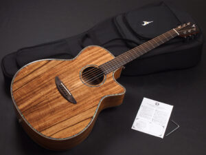 ディーシーティー Takamine yamaha 初心者 入門 女性 女子 エレアコ hawaiian koa コア材 ハワイアンコア 小型 小ぶり 000 OOO OM VR-640K 300CE