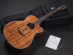 ディーシーティー Takamine yamaha 初心者 入門 女性 女子 エレアコ hawaiian koa コア材 ハワイアンコア 小型 小ぶり 000 OOO OM GR-640K 300CE