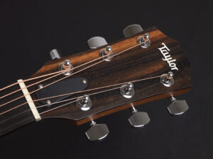 タイラー 114ce 214e 314ce Koa RW ローズウッド DLX deluxe エレアコ electric acoustic ES2 初心者 入門 女子 Plus プラス GA +