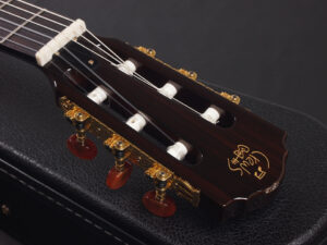 エレガット クラシック ゴダン godin Takamine TSP148NC NS Nylon Gut Ele Classic DMP370N PTU340N N PTU620NC TDP640NC