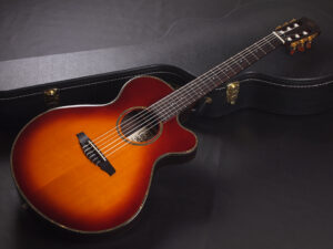 エレガット クラシック ゴダン godin Takamine TSP148NC NS Nylon Gut Ele Classic DMP370N PTU340N N PTU620NC TDP640NC