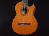 ジャズメイト スプルース Flamenco フラメンコ Cypress 檜 ヒノキ サイプレス シープレス ROSEWOOD ジャズ エレガット クラシック ガット ナイロン Nylon gut