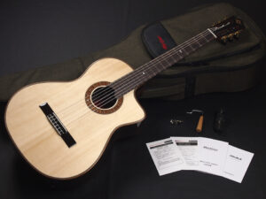 マルティネス cordoba フラメンコ エレガット RS Rosewood classic bossa nova Flamenco Santos トランスアコースティック GK Studio 14