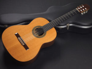 レイモンド 118C aria takamine A-50 A-100 入門 初心者 ビギナー 女子 女性 子供 yamaha GC22C GC32C GC12C CG192C CG182C 162c