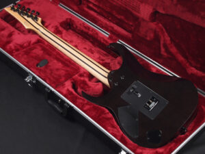 イバニーズ カスタムフジゲン ESP Schector Fgn Sugi T's Made in japan 国産 日本製 S SA RGA AZ JEM Steve Vai スティーブ ヴァイ