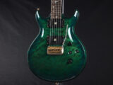 イバニーズ AR Artist Santana PRS Paul Reed Smith ポールリードスミス Les paul DC Junior Special ジュニア スペシャル