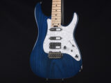 日本製 Made in japan PT EX-IV 5A B VTR EX-22 ST-CTM BH NV ESP snapper Blue Swamp Ash 限定品 LTD Maple Deep