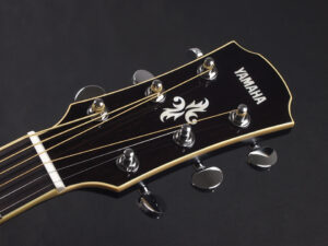 FG FS 初心者 入門向け 入門 ビギナー 女性 女子 子供 エレアコ フォーク ギター アコースティック Vintage sunburst 小型 小ぶり CPX600 APX600 small