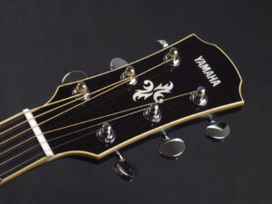 FG FS 初心者 入門向け 入門 ビギナー 女性 女子 子供 エレアコ フォーク ギター アコースティック Vintage sunburst 小型 小ぶり CPX600 APX600 small