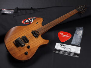 ヴァンヘイレン エディ Edward Van Halen Eddie PEAVEY Musicman Axis 5150 Friedman Brown ウルフギャング Kramer クレーマー