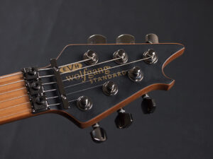 ヴァンヘイレン エディ Edward Van Halen Eddie PEAVEY Musicman Axis 5150 Friedman Brown ウルフギャング Kramer クレーマー ボコテ