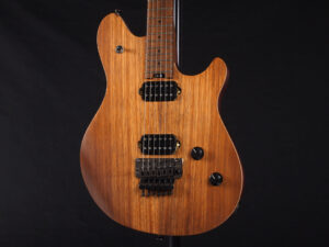 ヴァンヘイレン エディ Edward Van Halen Eddie PEAVEY Musicman Axis 5150 Friedman Brown ウルフギャング Kramer クレーマー