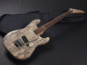 滝川 一郎 CIPHER デランジェ Luna Sea INORAN ウォーレン デ マルティーニ RATT Limited フェル KRAMER charvel