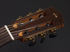 スタジオ ローズウッド ネグラ フラメンコ ボサノバ エレガット カッタウェイ クラシック ボサノバ rosewood bossa nova Flamenco Ele gut ガット イベリア