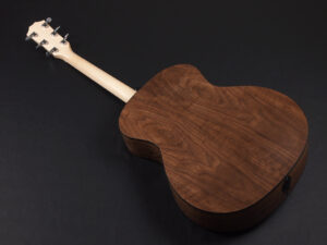 タイラー 114ce 110ce 110e 210e 214ce ウォルナット Sapele Rosewood 2017 GA ノンカッタウェイ エレアコ 女性 女子 初心者 入門 ビギナー 子供