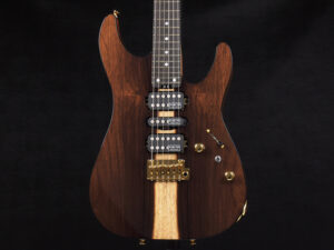 made in Japan USA 国産 日本製 ジャパン deluxe diamond esp SD EX Nevada ハカランダ Brazilian Rose wood top Exotic