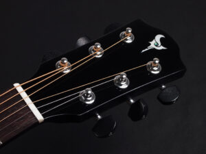 ディーシーティー 641KC japan BLK Black 黒 ブラック カッタウェイ Takamine yamaha タカミネ ヤマハ 初心者 ビギナー 入門 女性 女子 子供 エレアコ