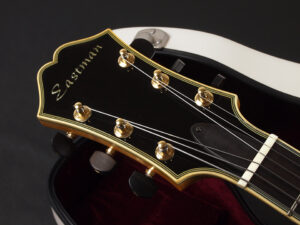 フルアコ セミアコ Jazz L-5 L-4 Jonny Smith ジョニー スミス ジャズ ES-175 Gibson CES AR-910CE 905CE T146SM Natural