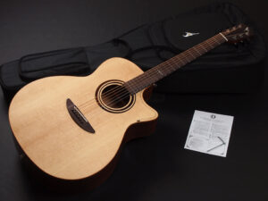 ディーシーティー ジャパン japan Cutaway カッタウェイ Takamine yamaha タカミネ ヤマハ 初心者 ビギナー 入門 女性 女子 子供 キッズ エレアコ eleaco