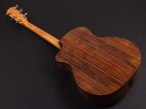 タイラー 114ce 414ce 314ce 2020 ローズウッド DLX deluxe エレアコ electric acoustic ES2 初心者 入門 プラス RW ローズ + koa 224