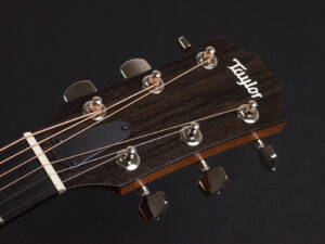 タイラー 114ce 414ce 314ce 2020 ローズウッド DLX deluxe エレアコ electric acoustic ES2 初心者 入門 プラス RW ローズ + koa 224