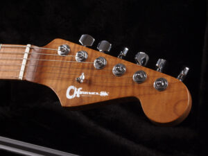 Jackson Kramer ESP Ibanez Schecter Custom Shop SSH 青 キルト カスタムショップ Roasted Xotic XS XSC Soloist RG Snapper EX SD