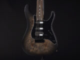 日本製 Made in japan EX-IV VTR BH NV ESP snapper 限定品 LTD Burl バール Buckeye Marble Popler Exotic エキゾチック