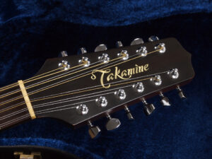 高峰 タカミネ 12弦 エレアコ 12st ヤマハ Taylor 150e yamaha FG820-12 CPX700II-12 LL16-12 PTU141C-12 EF381SC エレアコ 90