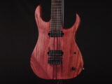 Viper Raven Mayones Strandberg Ibanez RG SL NT Skervesen USA Special S7G Metal Standard STD