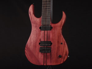 Viper Raven Mayones Strandberg Ibanez RG SL NT Skervesen USA Special S7G Metal Standard STD