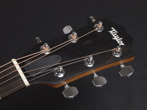 タイラー 114ce 214e 314ce Koa RW ローズウッド DLX deluxe エレアコ electric acoustic ES2 初心者 入門 女子 Plus プラス GA +