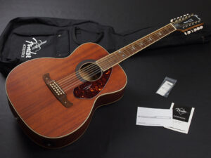 Walnut 12弦 12st ティム アームストロング ランシド Rancid Taylor 150e yamaha FG820-12 CPX700II-12 LL16-12 ヘルキャット ヤマハ