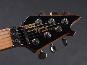 ヴァンヘイレン エディ Edward Van Halen Eddie PEAVEY Musicman Axis 5150 Friedman Brown ウルフギャング Kramer クレーマー