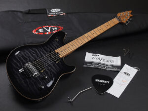 ヴァンヘイレン エディ Edward Van Halen Eddie PEAVEY Musicman Axis 5150 Friedman Brown ウルフギャング Kramer クレーマー